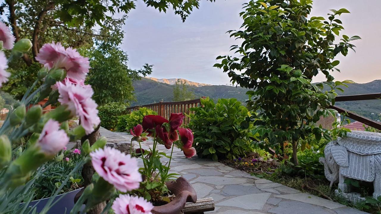 Alagonia Country Homes Exterior foto